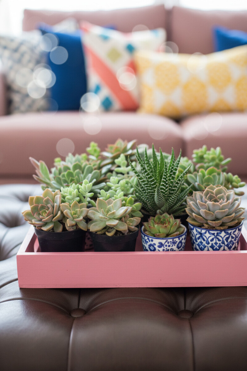 Beautiful Tray Decorating Ideas to Refresh Any Room - Tale of Home