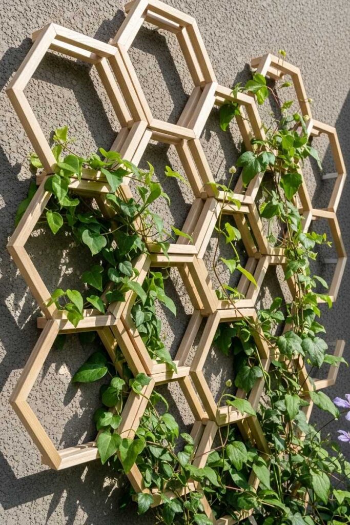 Creative garden trellis ideas with geometric hexagon panels made of slim wooden strips supporting climbing greenery.
