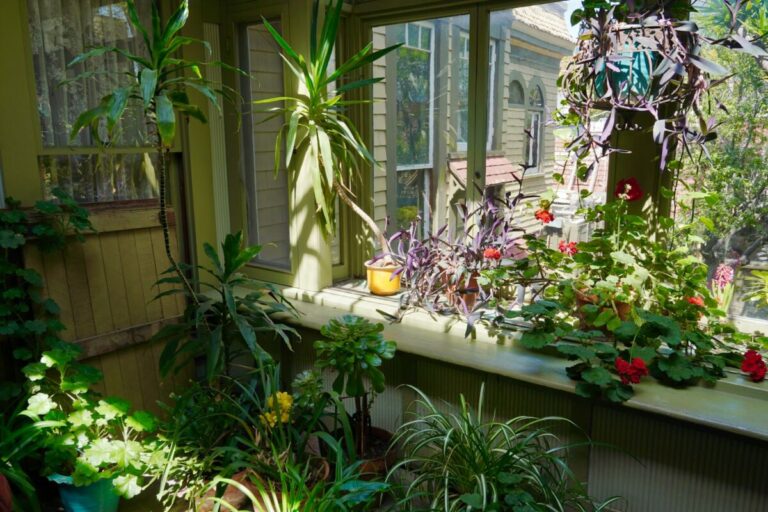 Sun-drenched porch overflowing with lush, green plants. Indoor Herb Garden Ideas