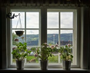 A couple of potted plants sitting on top of a window sill