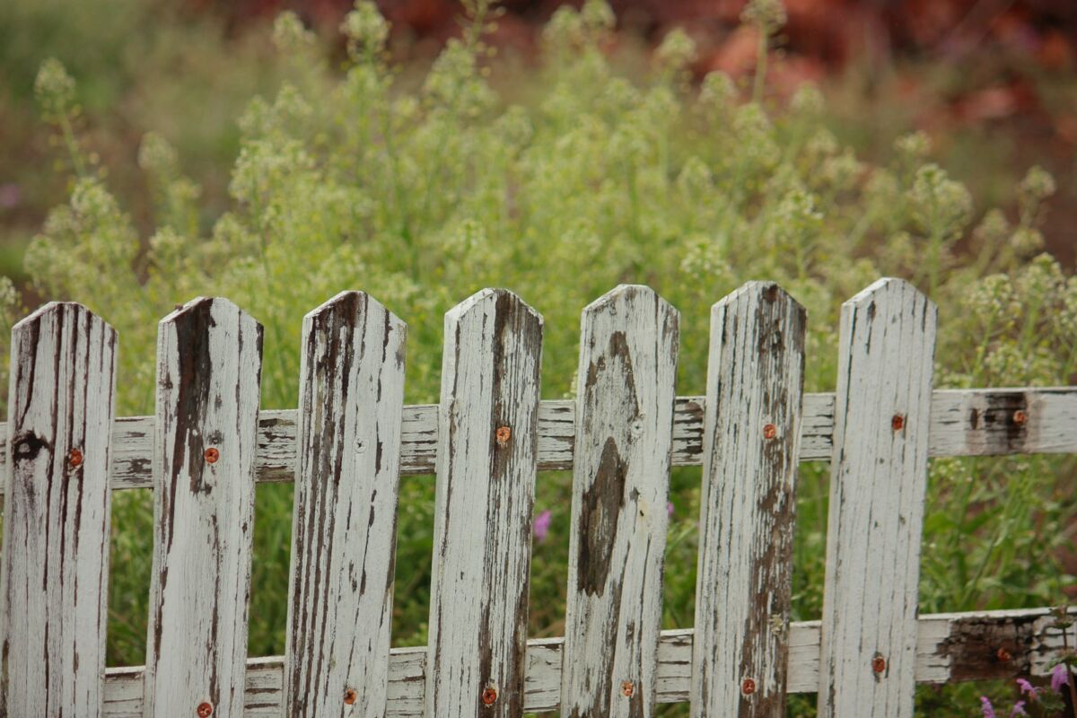 selective focus photography of wooden fence, Wood Fence
