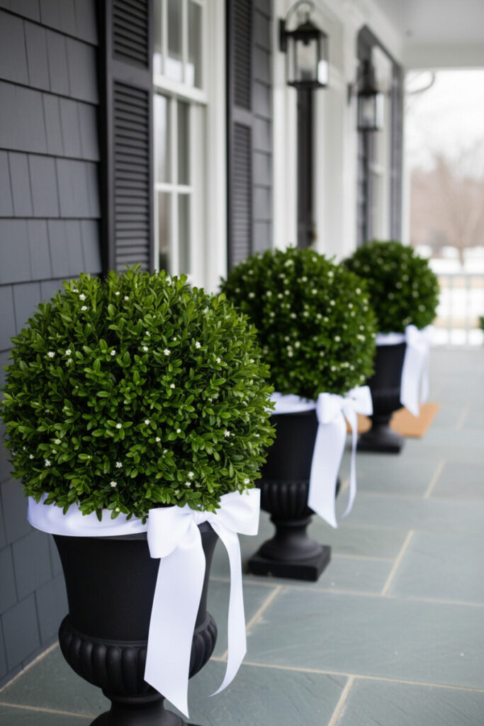Trio of spherical boxwood topiaries in black urns tied with crisp white bows on blue-gray slate—tailored symmetry.